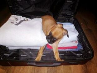 psy106362065_3025156794187714_3399519454054647899_o-053