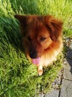 psy106401335_10223234399236443_4868816500372706399_o-058