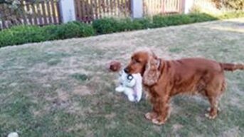 psy106417486_266044094702981_7693263628200625327_o-059