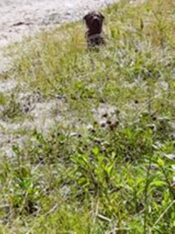 psy106420435_679793256201862_559674585792165952_o-060