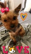 psy106453181_3368023283231286_6538906330630784873_n-061