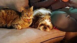 psy106463520_10207690768503362_4358989041456671358_o-063