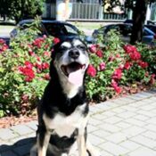 psy106477390_3564924460207172_6679695160435435_o-064