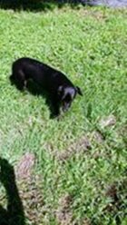 psy106481577_3357978690935696_8961167027519434416_o-065