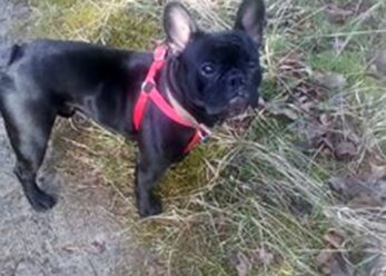 psy106487363_2723501834637183_8901886010867450495_n-066