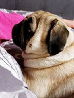 psy106488973_2790598127839139_3263107813805972420_o-067