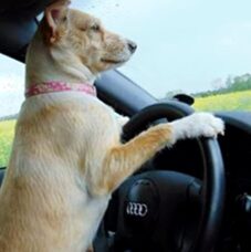 psy106491528_1386164898439093_4123713785027981906_n-068