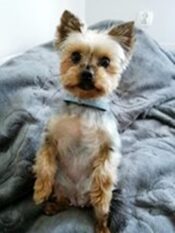 psy106495418_2611802082401436_5303345522645463145_o-069