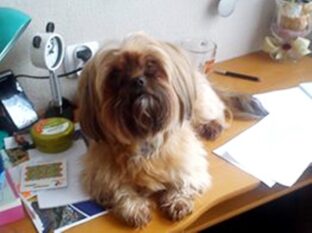 psy106496777_3077384039044846_1884860322579412196_o-070