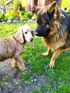 psy106505006_1067750670287458_2493026577952708091_o-072