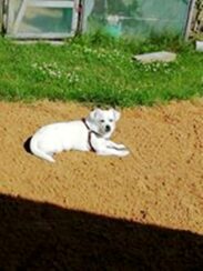 psy106507155_2179702035510039_7267946157512591314_o-074