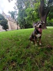 psy106507298_3209571762438403_6919028947968859340_o-075