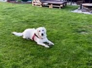 psy106531305_1594511400709627_3173331095084279974_n-079