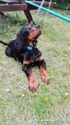 psy106531750_3250925605024145_476026206938861287_n-080