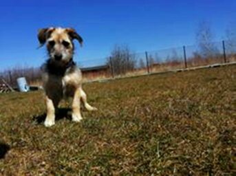 psy106536187_3095564223823546_2785662433948225535_o-081