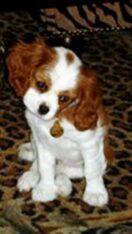 psy106567740_2857339034555413_3667531023095385161_n-082