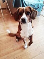 psy106581073_3138866889493027_7212845470143747287_o-083