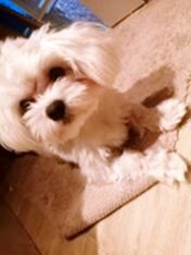 psy106582387_2945928028861913_7134185538929098122_o-084