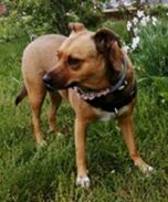 psy106589043_275426893530419_6158547225166093898_o-085