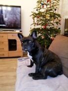 psy106662627_2759548964151783_8715687379261388430_o-088