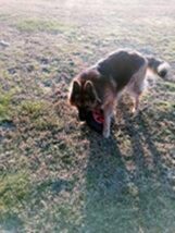 psy106677743_1149409305433846_2007092637394914526_o-089