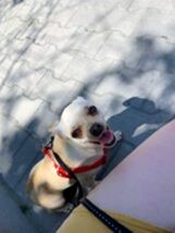 psy106700613_2665069247146716_5462620382091296726_n-090