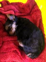 psy106704322_3016758995037902_8696317291515332649_n-091