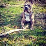 psy106908102_172185714321110_5627263129255332627_n-094