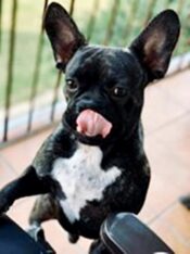 psy106931599_3035846023161410_3243307571810911954_o-096