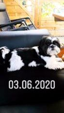 psy106937089_10214644165417128_3427365077292798527_n-097