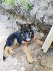 psy107099752_2675980512648511_5167454495696718429_o-098