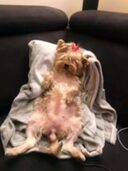 psy80196271_876373496189440_4764776228561401712_n-005