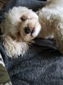 psy82170868_2001353726663225_8263417178240430110_o-006