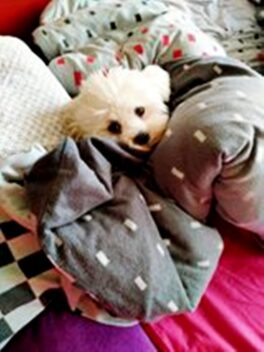 psy82466841_2925325784257590_6252066240593585757_o-007