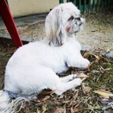 psy82964090_3281363238591071_8523062047156495363_o-009