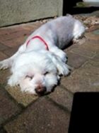 psy83327814_185281329606399_7182585376724242462_o-011