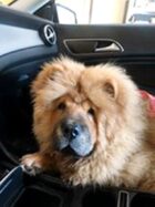 psy83521729_3282715241784466_8409345277838369009_n-013