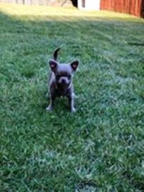 psy83540670_3562340153793783_4936729347070812926_n-014