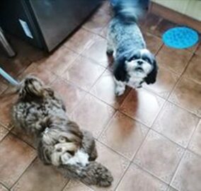 psy83598674_1595990807232326_5918838840177712747_o-015