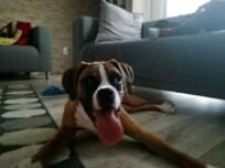 psy83619042_3086383241437311_7296956322284770139_n-017