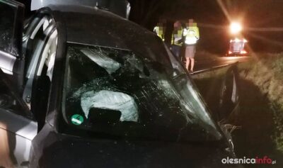 16-letnia Alicja wyszła z auta o własnych siłach. Kierowca audi jeszcze nie usłyszał zarzutów