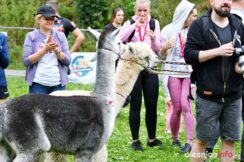 Bieg_pełną_piersią_oleśnicaDSC_0987