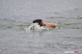 aquathlon_Stradomia_OGT_DSC_0277