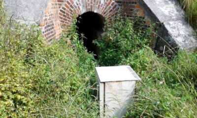 Zamiast w PSZOK-u śmieci lądują …pod wiaduktem