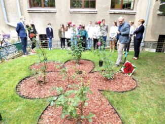 I_LO_OleśnicaP1140357-011