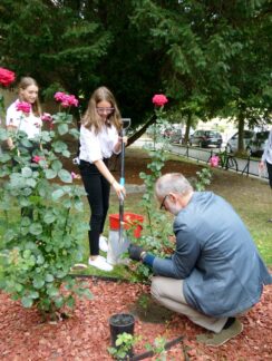 I_LO_OleśnicaP1140376-005