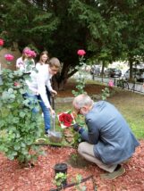 I_LO_OleśnicaP1140378-003