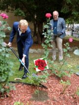 I_LO_OleśnicaP1140381-001