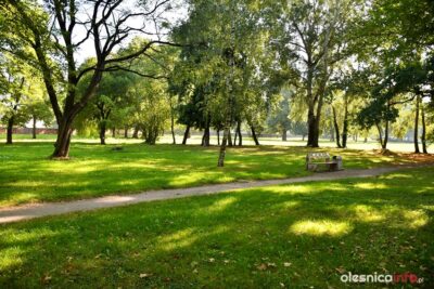 Kolejne dyskusje o Spacerowej. Gdzie powstaną parkingi?