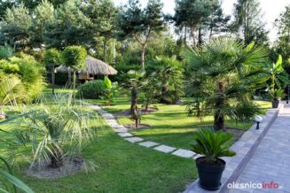 Tomasz_Frysztak_palmy_Łuczyna_DSC_2030